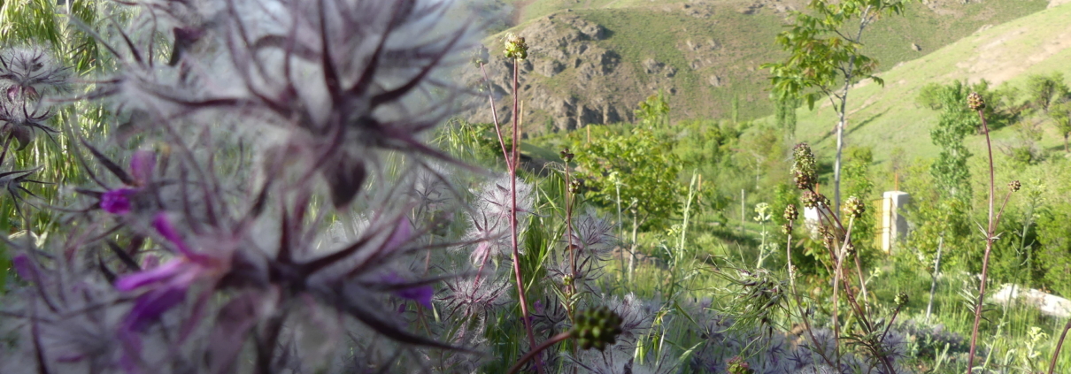 این عکس؛ صفحه مربوط به محصولات قالب پاورپوینت آماده دانشگاهی، زیر مجموعه مدیریت، رشته مدیریت دولتی، مدیریت خدمات اجتماعی، سایت گروه تخصصی اسنپ پاورپوینت می‌باشد.