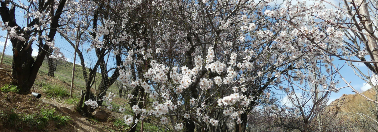 عکس صفحه محصولات دانشگاهی، بخش علوم انسانی، رشته‌های مدیریت، مدیریت دولتی و مدیریت خدمات اجتماعی، سایت گروه تخصصی اسنپ پاورپوینت