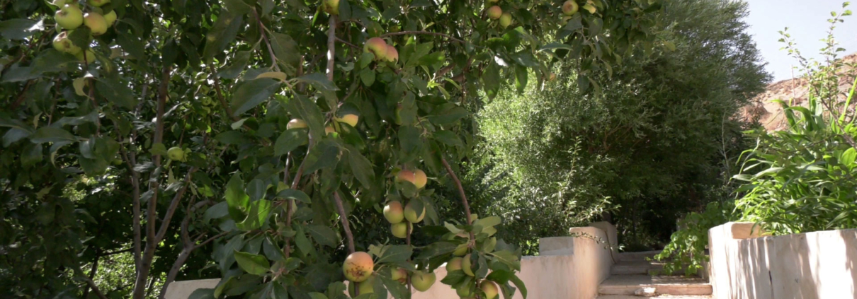 این عکس مربوط به صفحه محصولات، قالب‌های آماده پاورپوینت پایان‌نامه مقطع ارشد و دکتری، بخش علوم انسانی، حسابداری سایت گروه تخصصی اسنپ پاورپوینت می‌باشد.