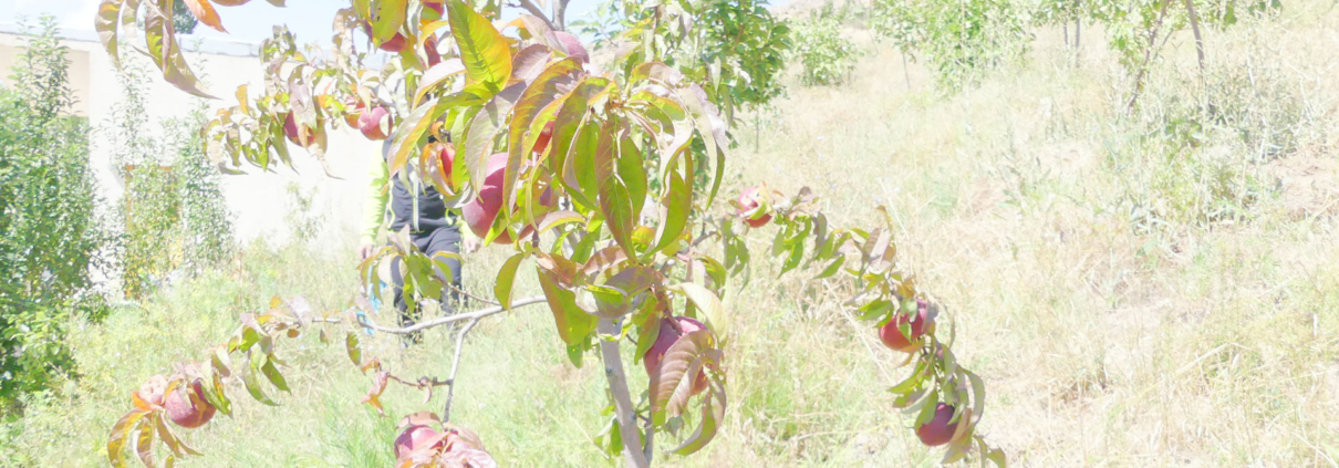 این عکس شاخص صفحه فرعی محصولات مربوط به بخش پاورپوینت پایان‌نامه‌های بخش علوم پایه، گروه تخصصی اسنپ پاورپوینت می‌باشد.