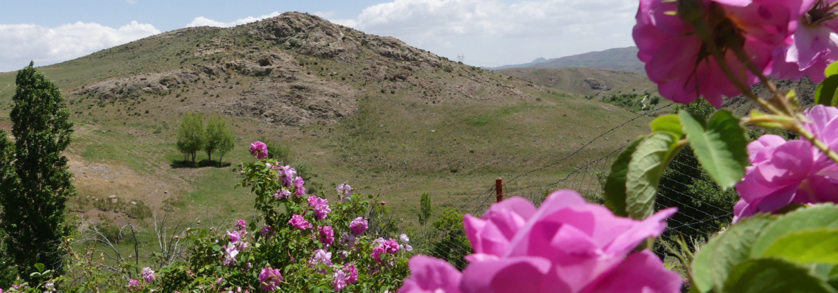 این عکس شاخص صفحه اصلی محصولات مربوط به بخش پاورپوینت‌های آماده رشته مدیریت مالی، گروه تخصصی اسنپ پاورپوینت می‌باشد.