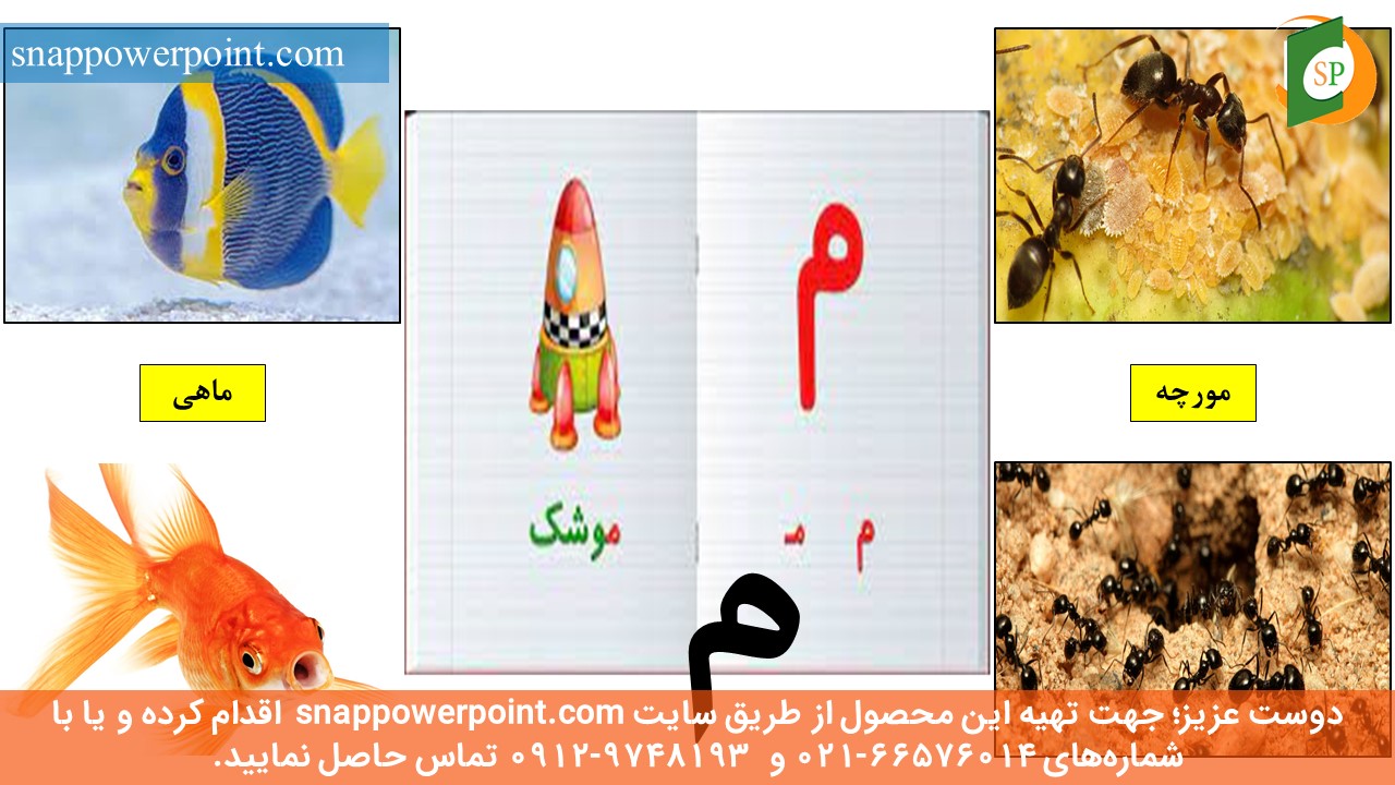 این عکس، مربوط به پاورپوینت آماده آموزش حروف الفبای فارسی به روش عکس خوانی ذهنی، گروه تخصصی اسنپ پاورپوینت می‌باشد.