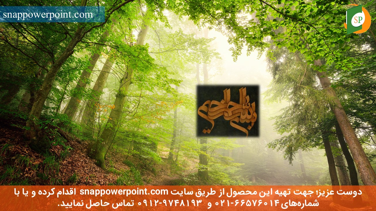 این عکس، مربوط به پاورپوینت آماده بررسی شاخص‌های اقتصادی در صنعت پتروشیمی، گروه تخصصی اسنپ پاورپوینت می‌باشد.